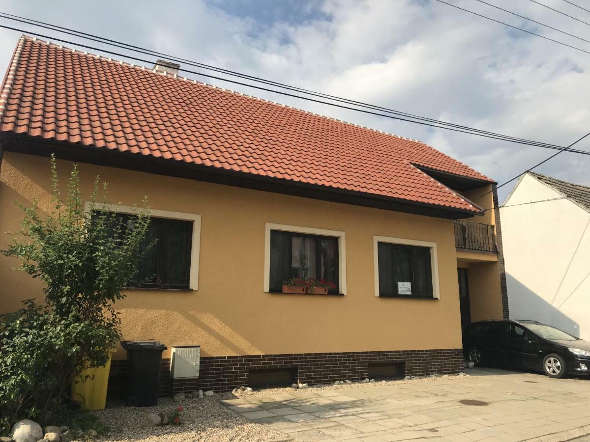 Vestonicka Jizdarna Διαμέρισμα Dolni Vestonice Εξωτερικό φωτογραφία